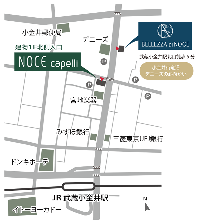 BELLEZZA DI NOCE周辺地図